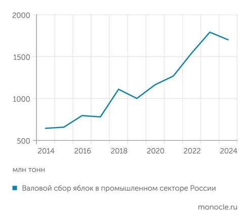    АБ Центр: Производство яблок растет за счет закладки новых садов