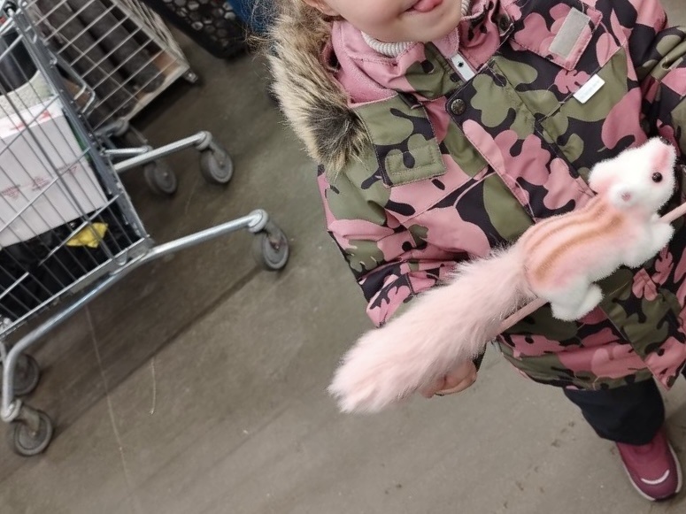 Белочку нашли!!!