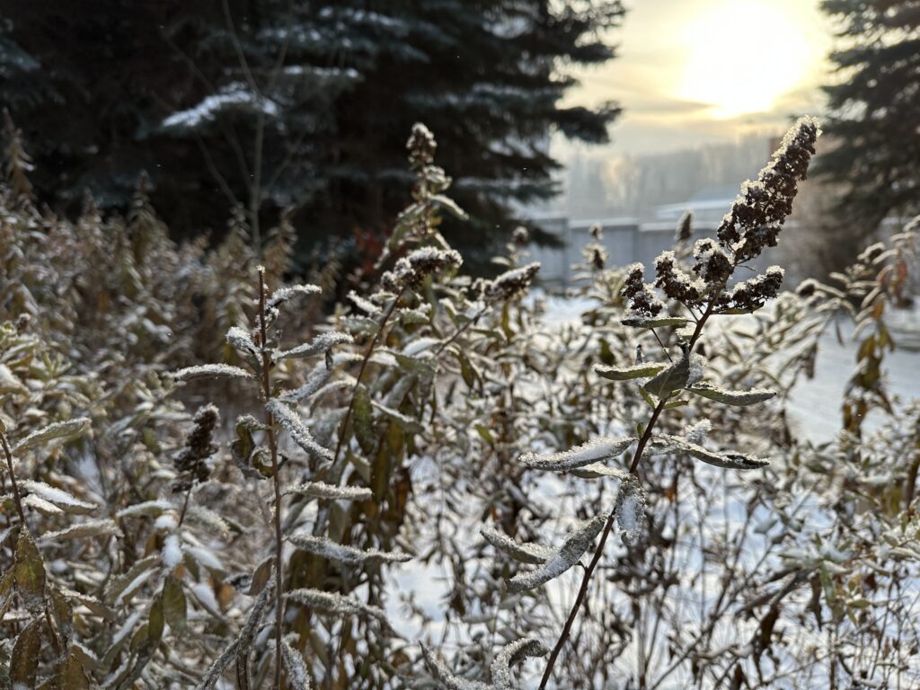    Фото v-kurse.ru \ Катерина Заякина Ульяна Бажанова