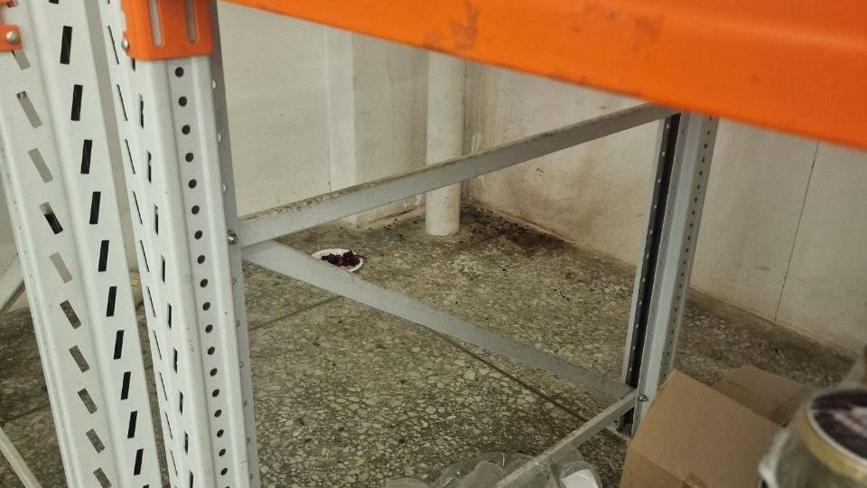     Источник: gorod_vl