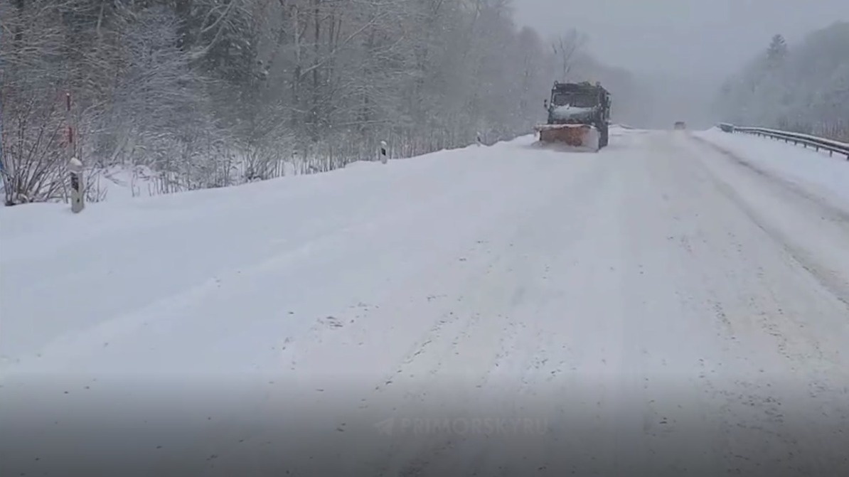     Источник: primorskyru