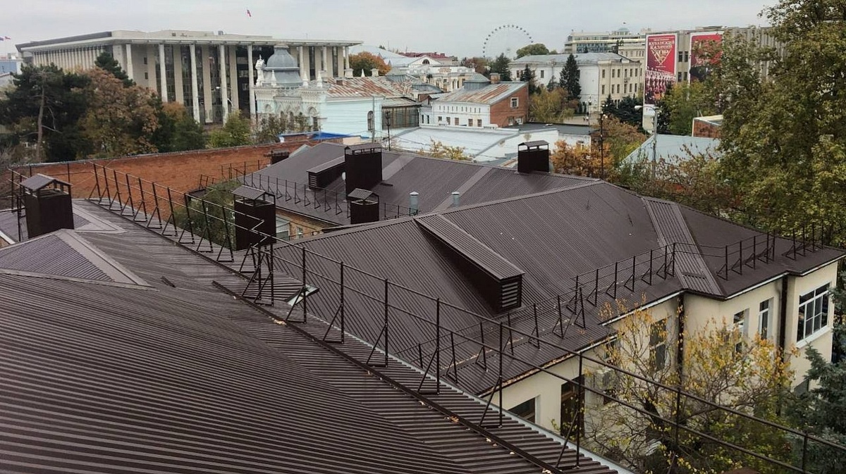     Фото: Пресс-служба администрации Краснодара