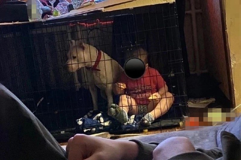 Фото: соцсети / из материала KP.RU:Комсомольская правда