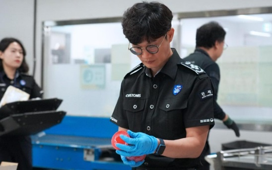 Таможенный досмотр в Южной Корее