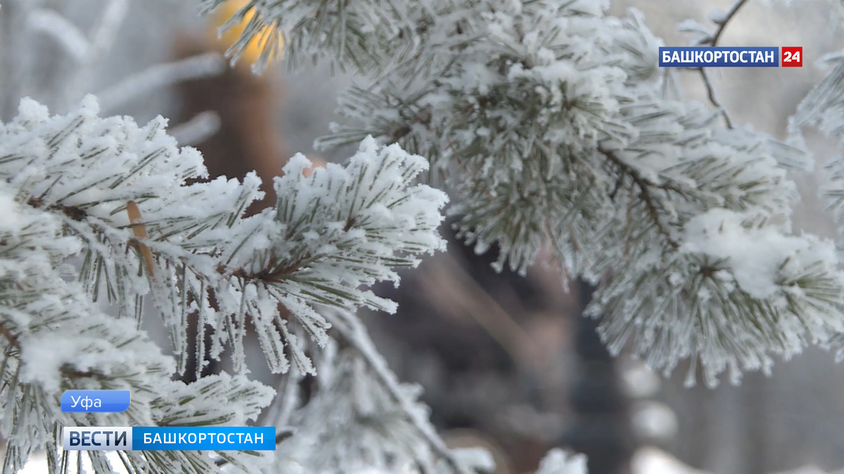    Небольшой снег и метель: синоптики дали прогноз на начало недели в Башкирии