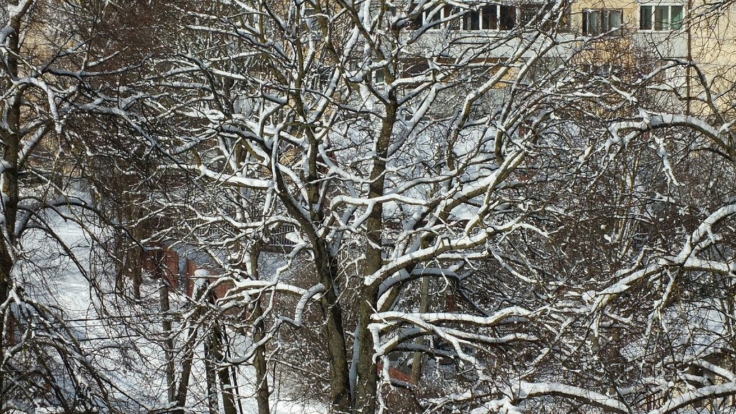    Фото: Victor Lisitsyn, Виктор Л/Globallookpress