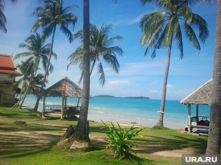 Вышел 12-й сезон шоу «Звезды в джунглях». Фото: Анастасия Гусарова © URA.RU