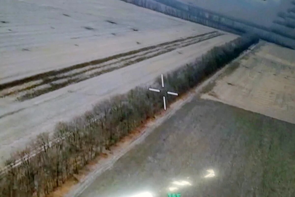    Отряд нацистов растерзали на лесной опушке.