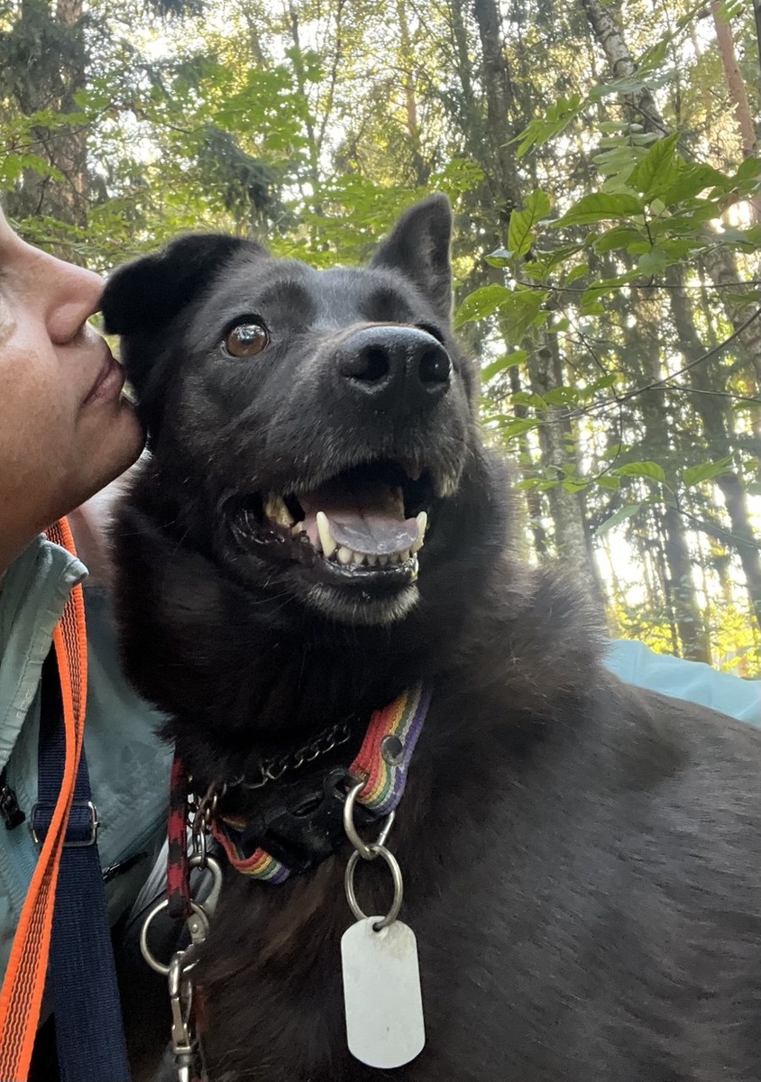 Алло! Алло! Найла у телефона, говорите громче!