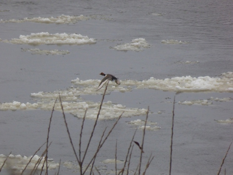     Фото со страницы в "ВК" Юрия Галчёнкова