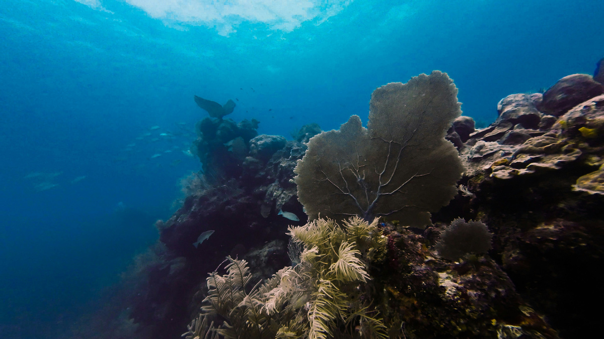 Картинка с бесплатного фотостока https://unsplash.com, автор Julius Hildebrandt