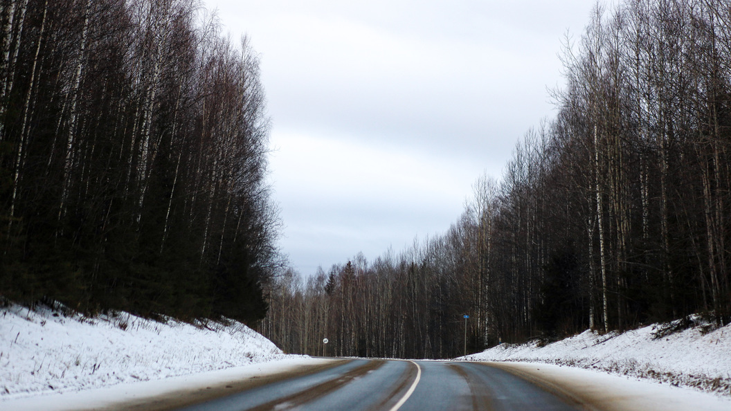    Фото: Elena Mayorova/Globallookpress