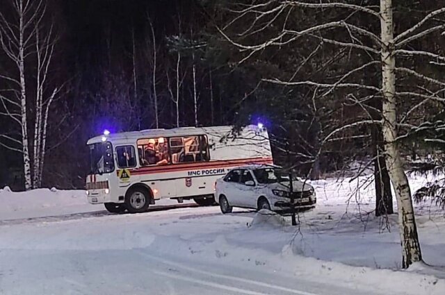    Фото: Telegram-канал МЧС России