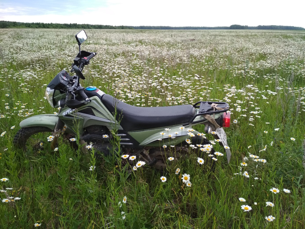 Racer Forester 200LT за сто тыщ