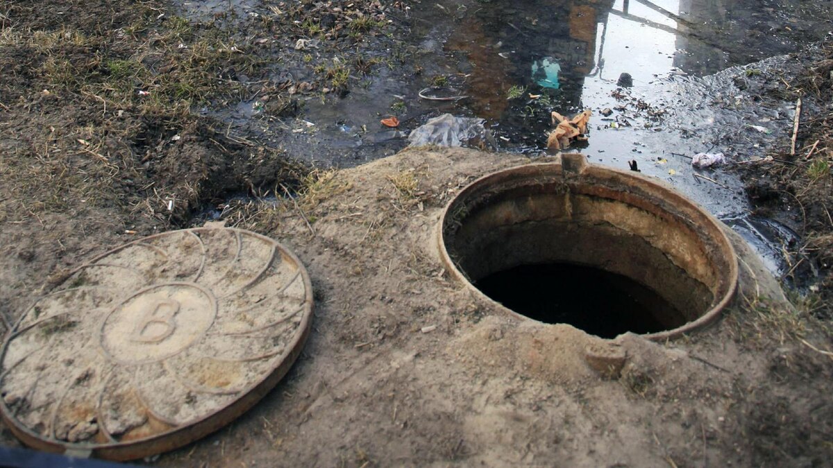    Фото: globallookpress.com/Nikolay Gyngazov