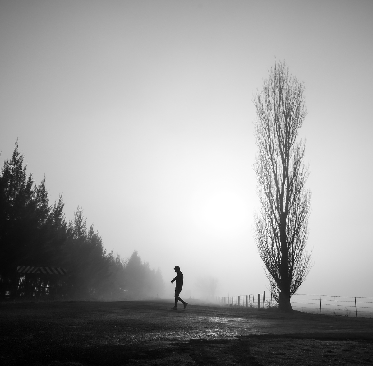 <a href="https://ru.freepik.com/free-photo/mysterious-greyscale-shot-male-walking-foggy-scary-field_8281306.htm#fromView=search&page=1&position=1&uuid=3e4132eb-da9c-4e22-86a1-29779f8cf8a6">Изображение от wirestock на Freepik</a>