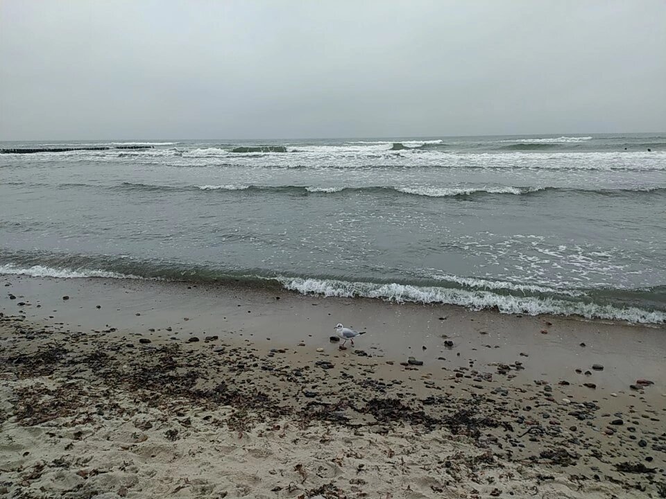 Фото Тимура