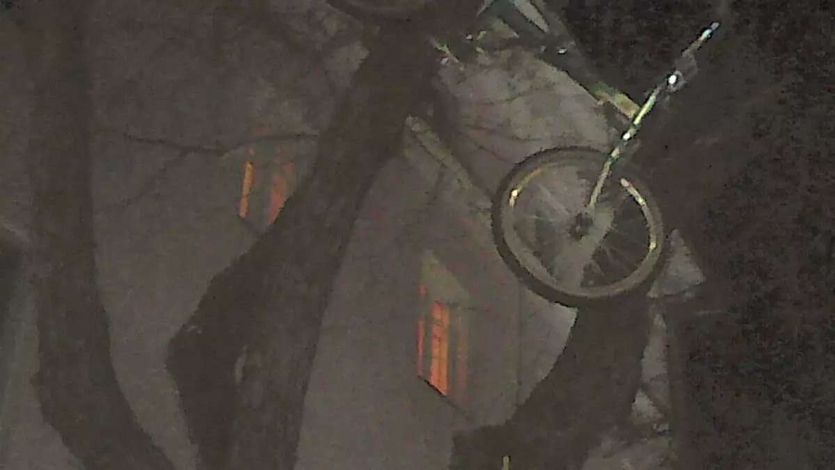     Источник: Петрозаводск Live / vk