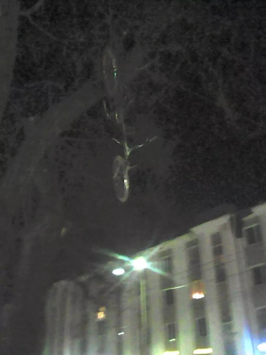     Источник: Петрозаводск Live / vk