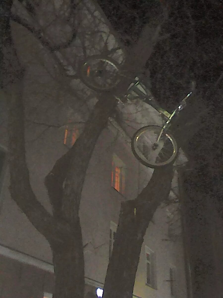     Источник: Петрозаводск Live / vk