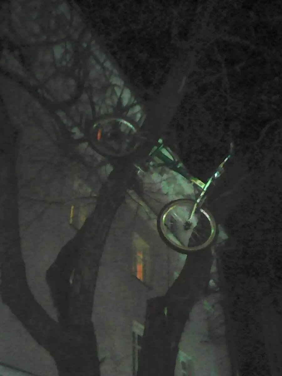     Источник: Петрозаводск Live / vk