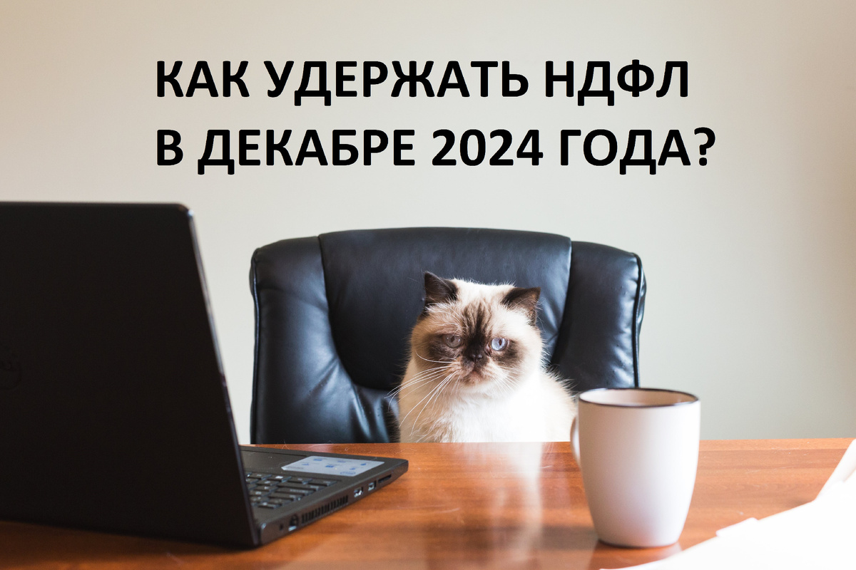 Фото: Sarah Pflug|shopify.com