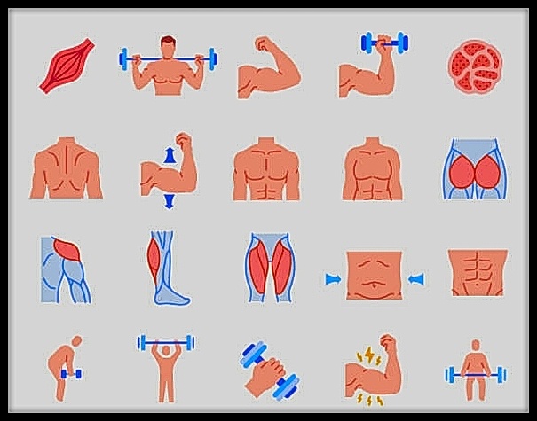 Источник: www.istockphoto.com