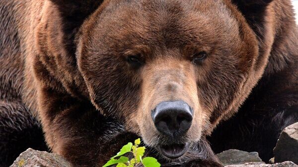    © РИА Новости . Илья Наймушин