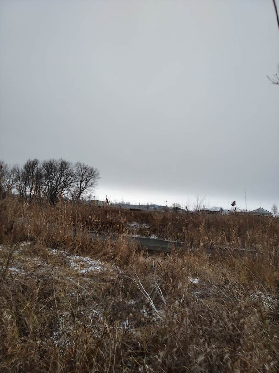 Гулять ходили конечно же к реке. На той стороне стадо коров, но их на фото не видно.