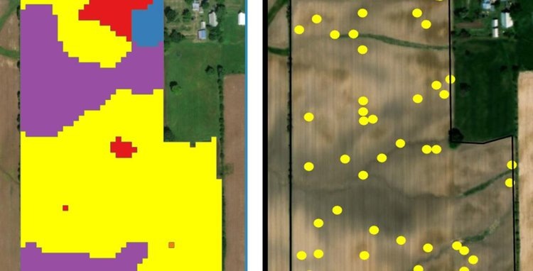    Как выглядит будущее борьбы с сорняками