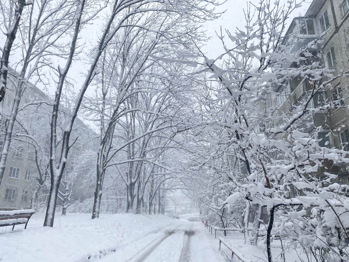В некоторых районах края ожидаются морозы.  Фото: Фото: ФедералПресс/ Анастасия Полетаева