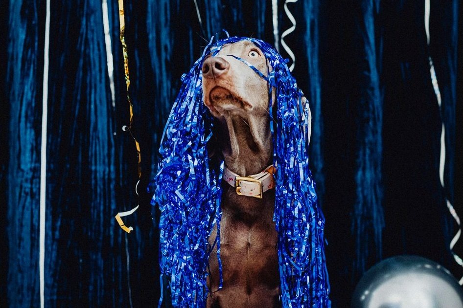 Фото: Karolina Grabowska / Pexels