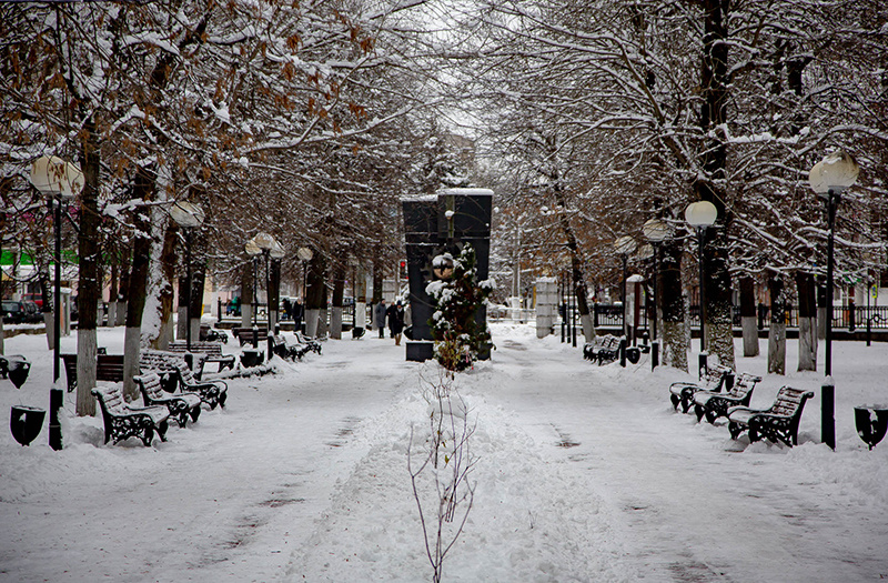 Погода в Твери 9 декабря. Мягкая погода