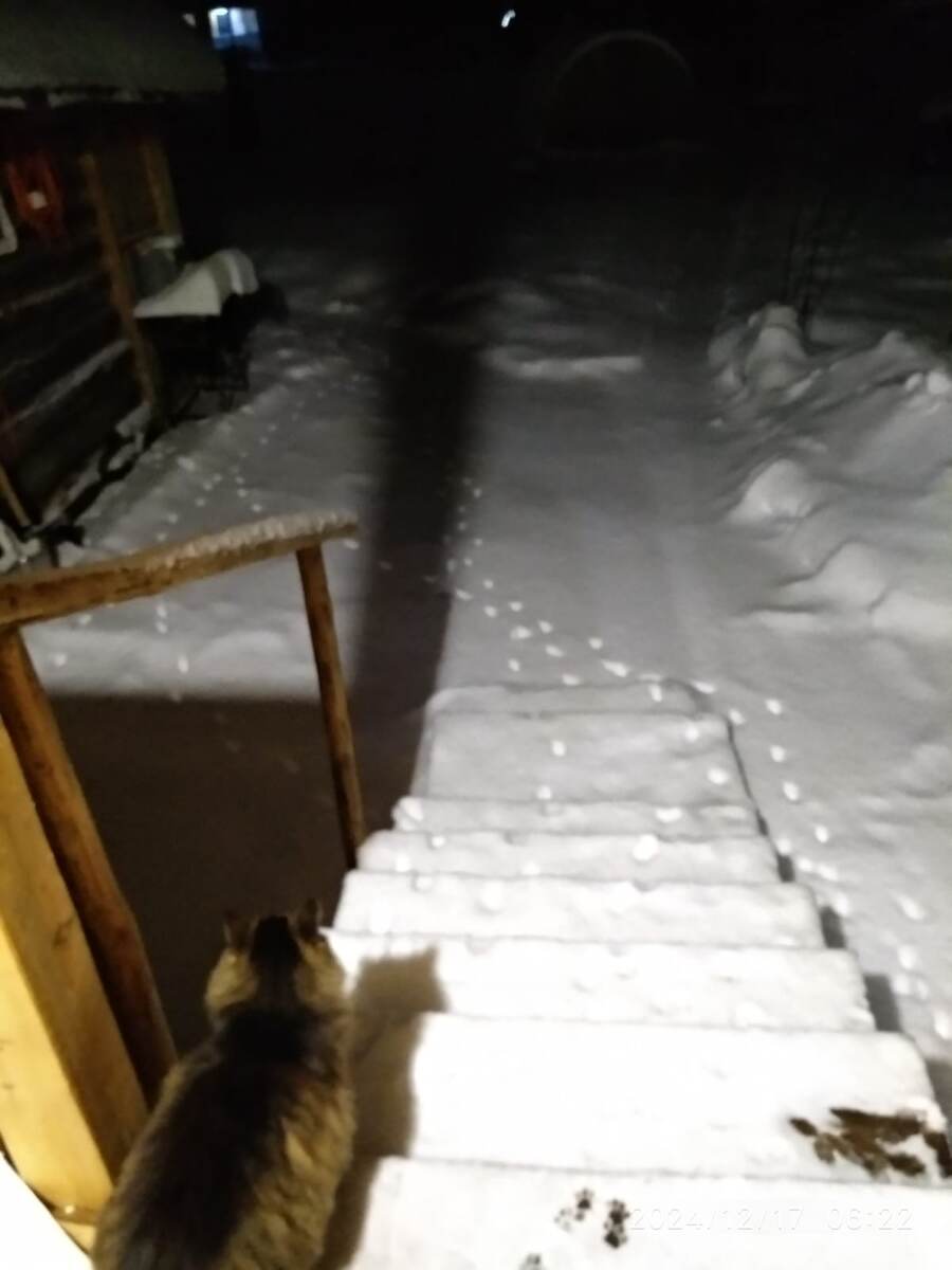 следы на снегу