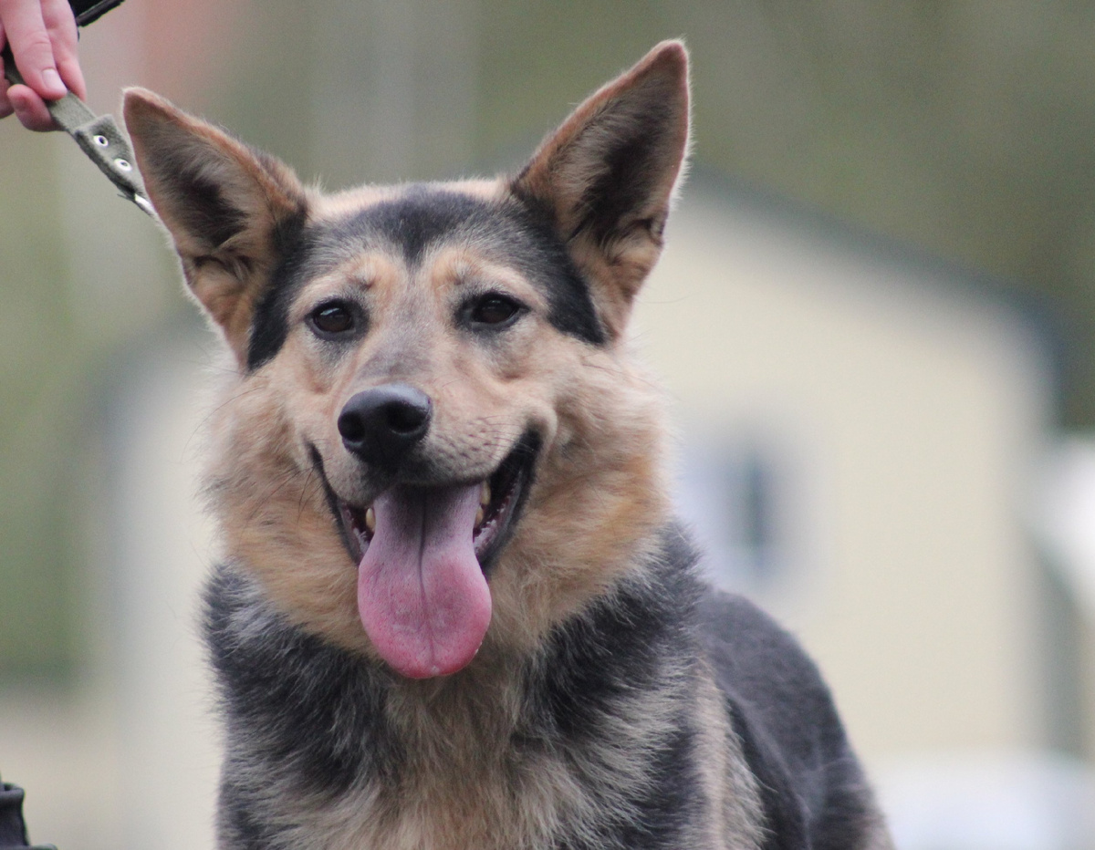 Дорогой друг, если ты мне симпатизируешь, после прочтения поставь, пожалуйста, мне лайк