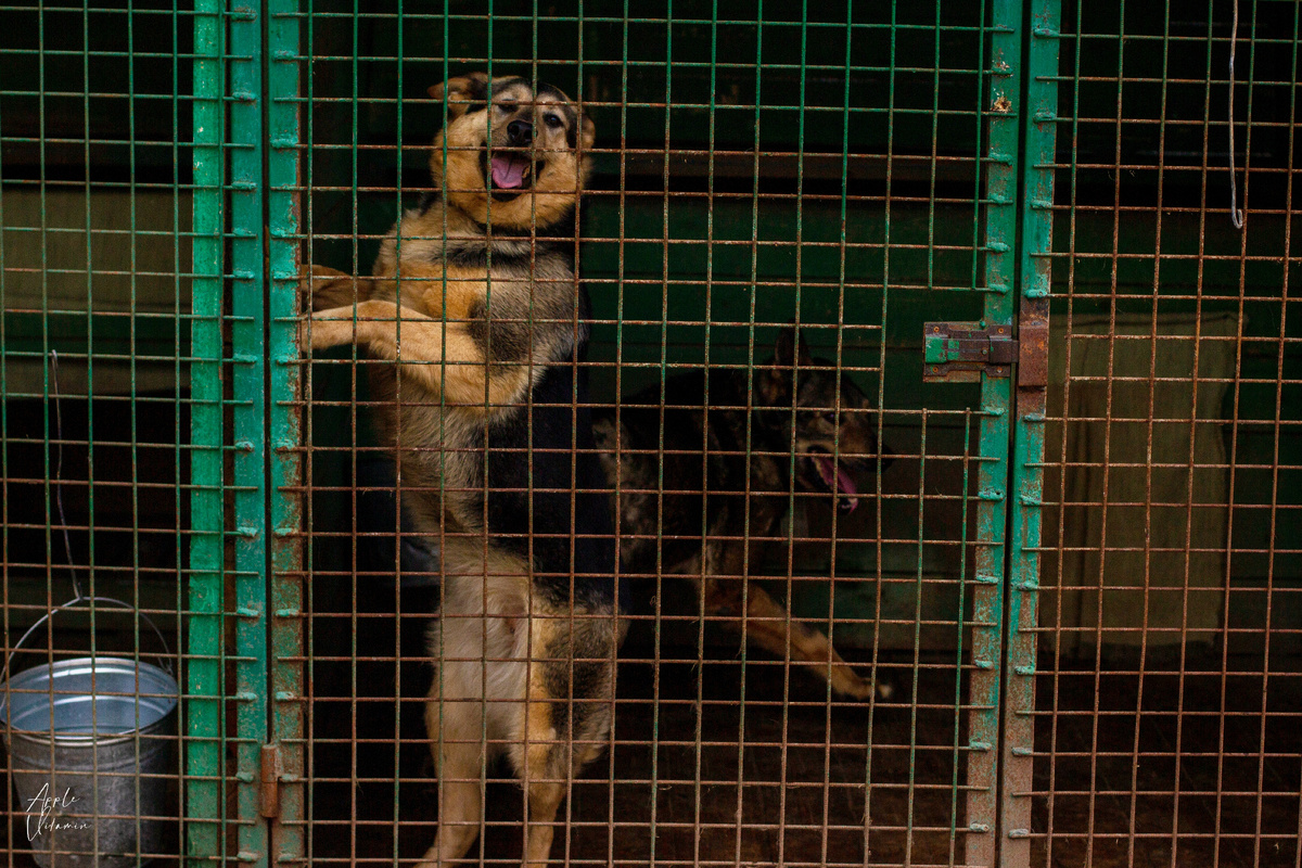 Я же еще даже не успела вам ничего про себя рассказать!!!