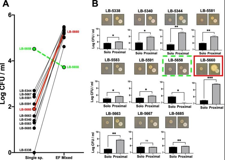     Что общего у двух подтипов патогенной кишечной палочки для собак и домашней птицы
