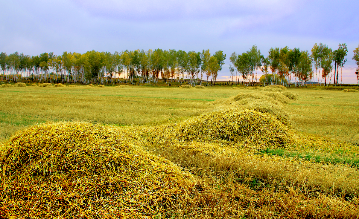 Фотография, стихотворение Василия Глуцкого