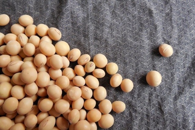 Фото: pxhere.com