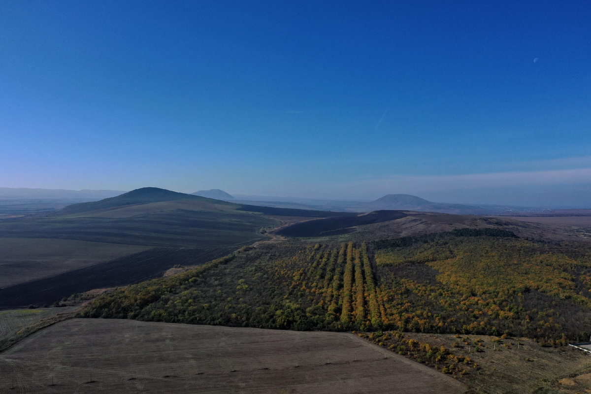 фото: Мухаммад Ортиков