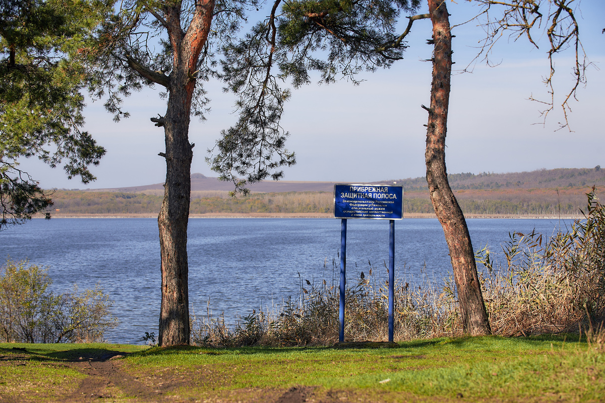 фото: Константин Кордонский