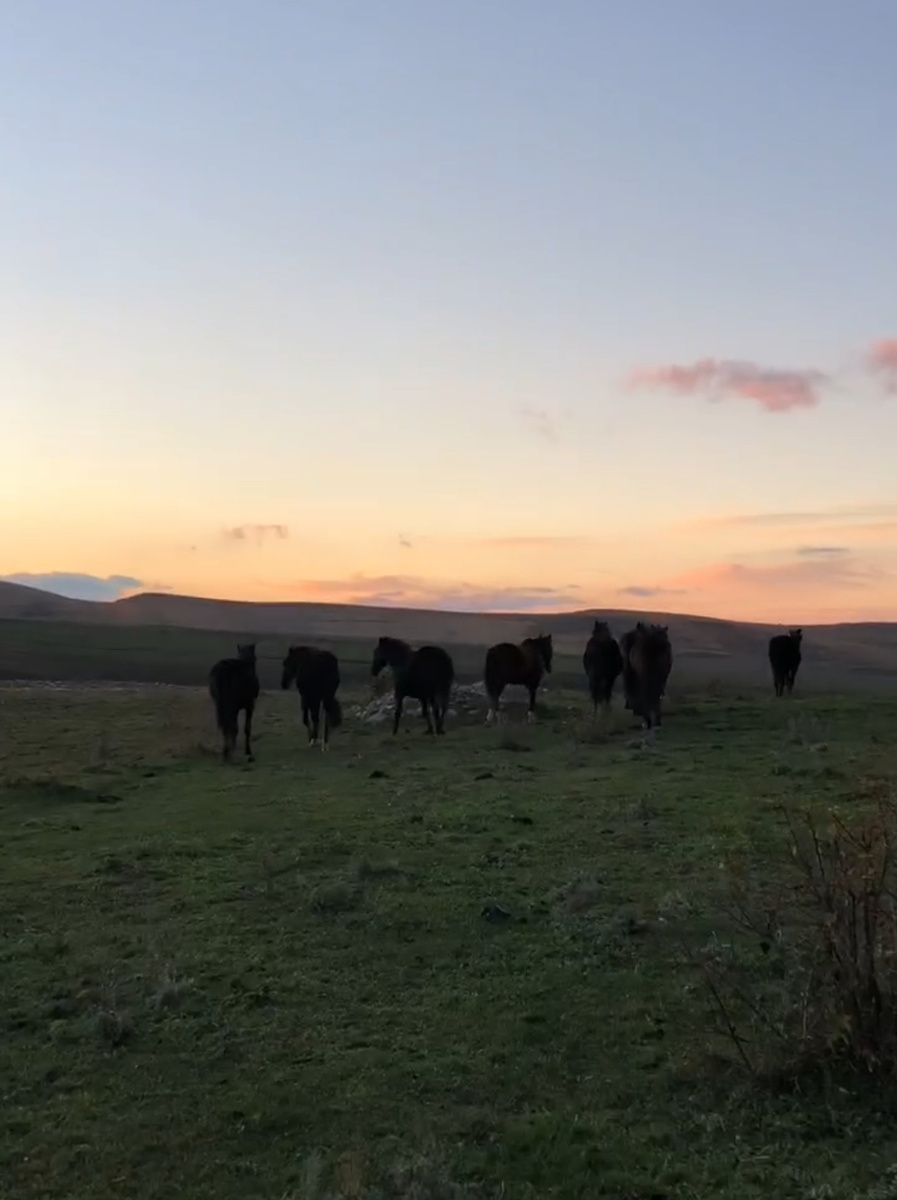 Стоп кадр из ролика места «Село Орлов». Ссылку укажу в комментариях