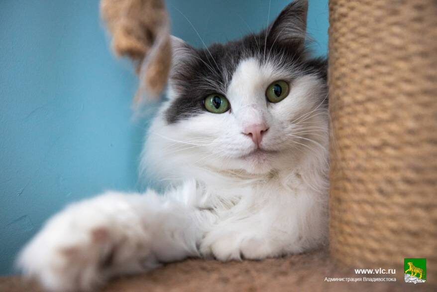    Источник фото: