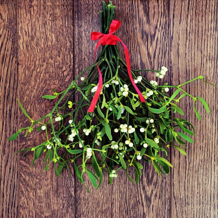 Иллюстрация найдена на Яндекс.Картинках