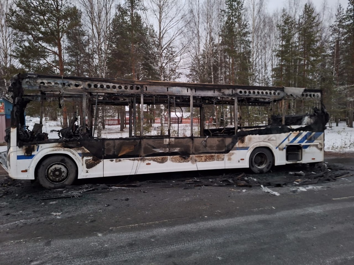    Фото: СУ СК России по Республике Карелия