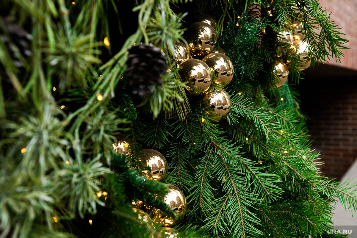 Фото: Анастасия Соргина © URA.RU