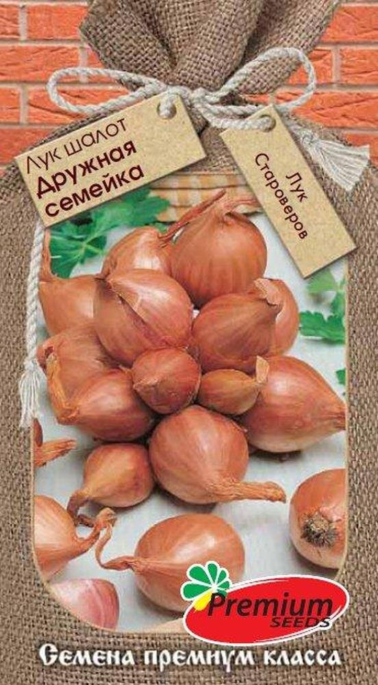 Мои первые семена лука шалот