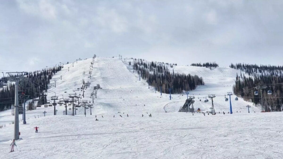     Источник: www.sheregesh.su