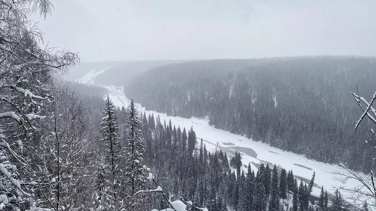     Источник: 1MI