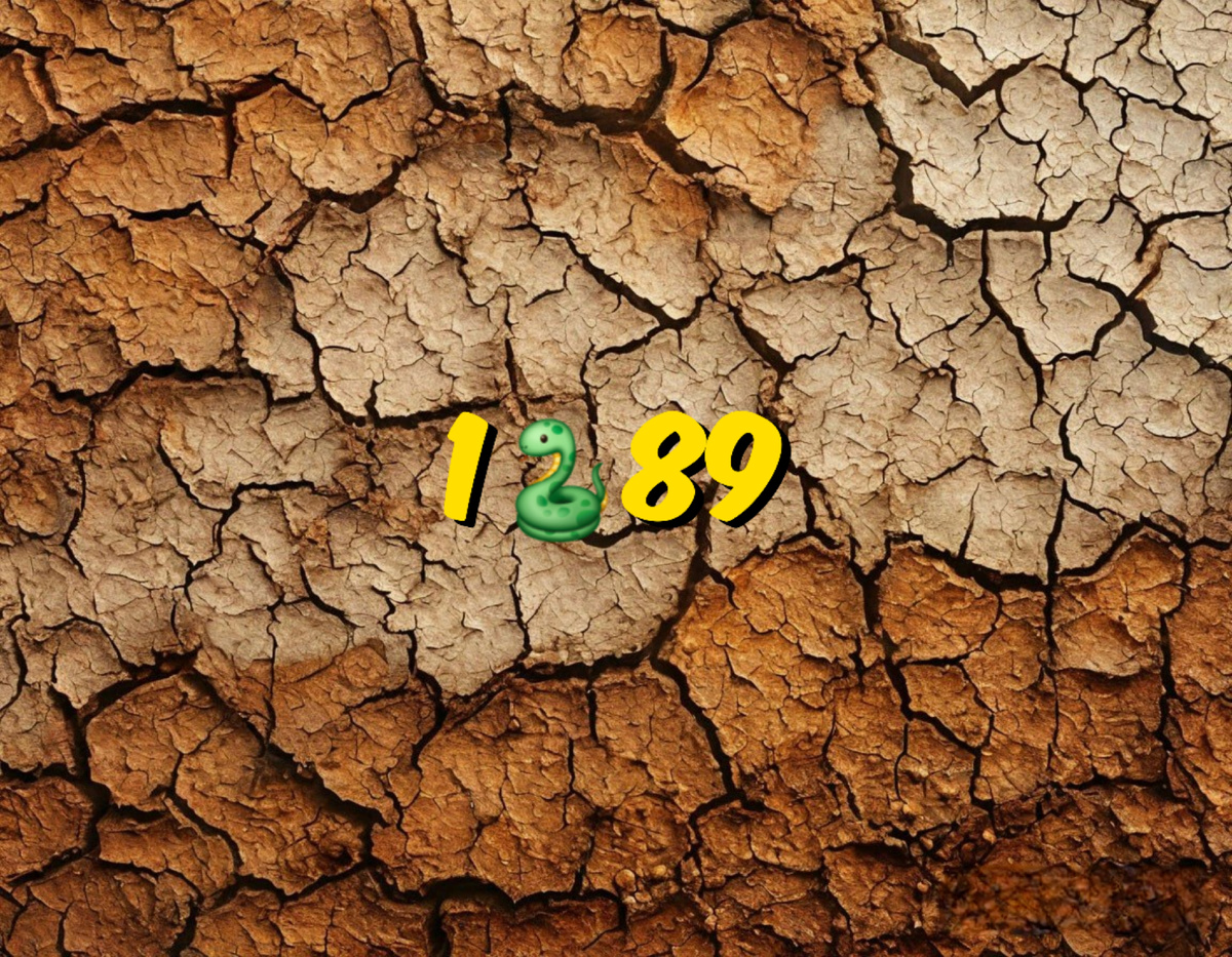 1989 год в восточном календаре и китайском гороскопе: Земляная Змея